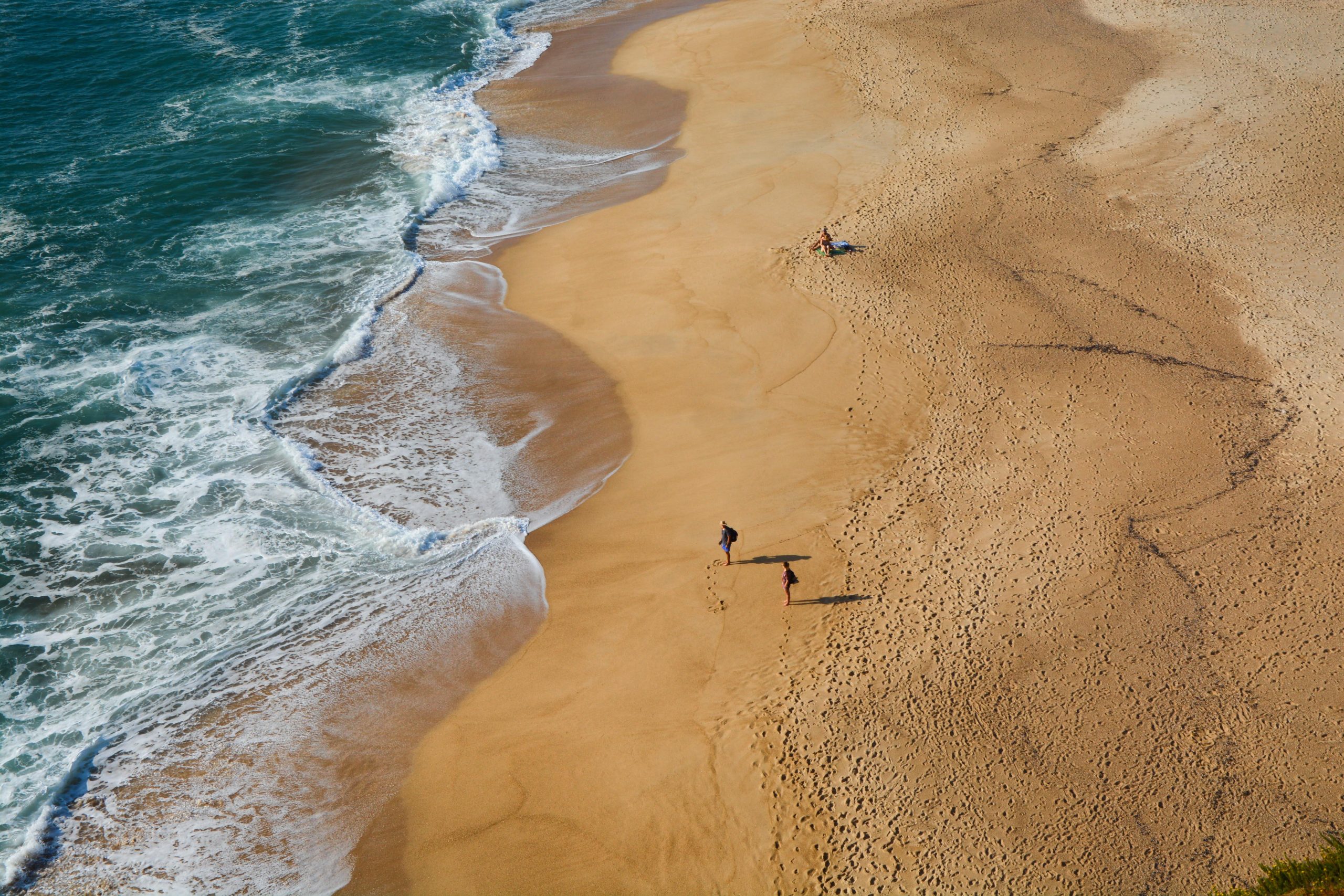 Study in Portugal