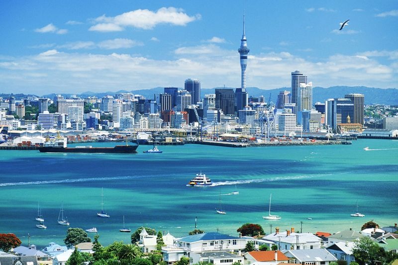 Study in New Zealand